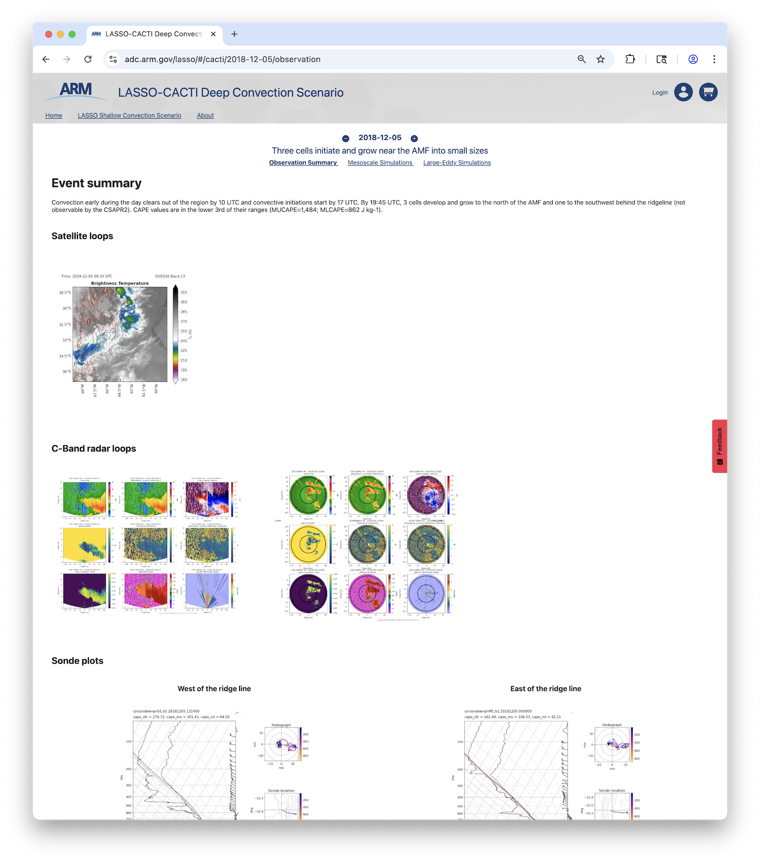 LASSO-CACTI Bundle Browser Observation Summary page